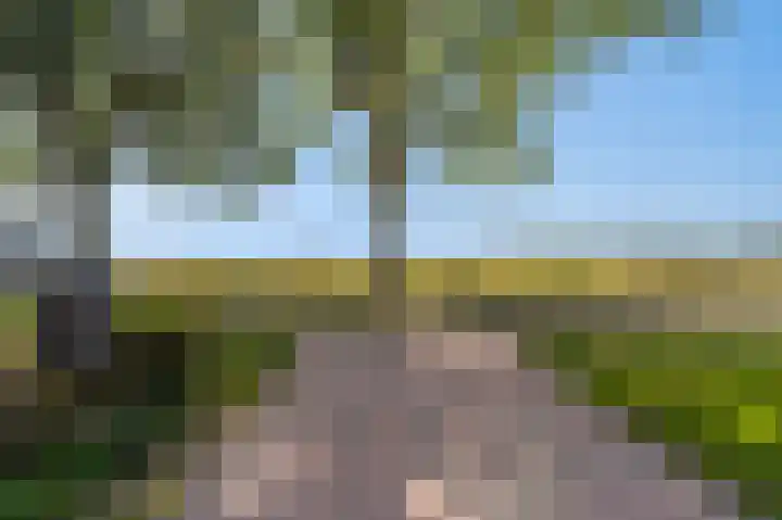 Louwdijk 37 Blijham thumbnail 11