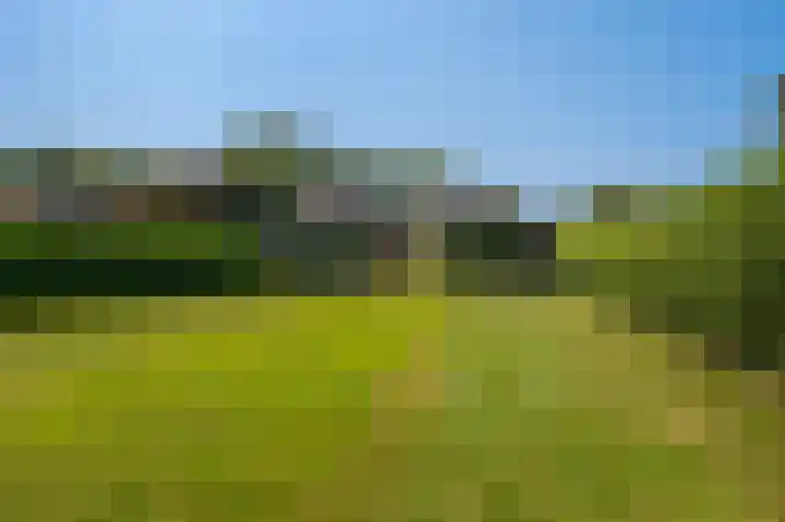Louwdijk 37 Blijham thumbnail 24