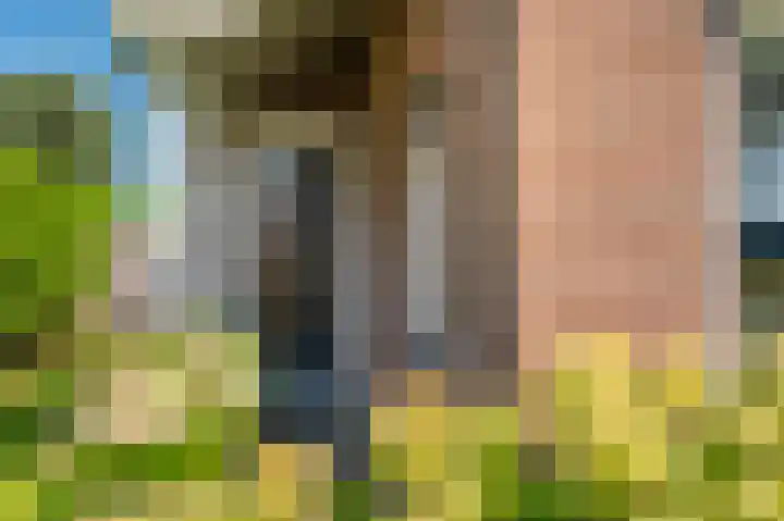 Louwdijk 37 Blijham thumbnail 8