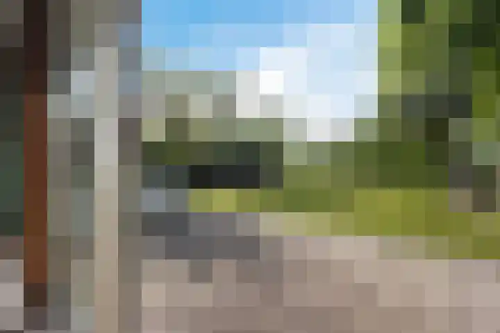 Louwer om'e tún 17 Terherne thumbnail 13