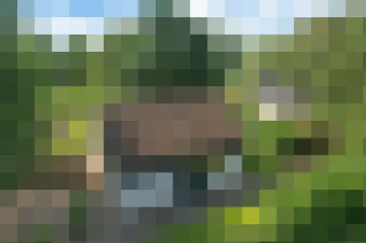 Louwer om'e tún 17 Terherne foto 2