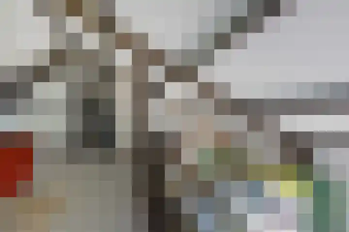 Louwer om'e tún 17 Terherne thumbnail 20