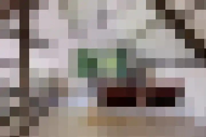Louwer om'e tún 17 Terherne thumbnail 21