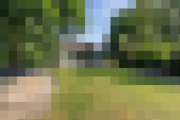 Louwer om'e tún 17 Terherne thumbnail 24