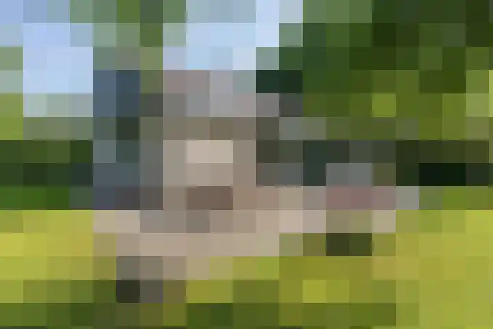 Louwer om'e tún 17 Terherne thumbnail 25