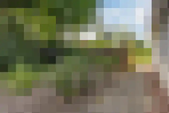 Louwer om'e tún 17 Terherne thumbnail 27