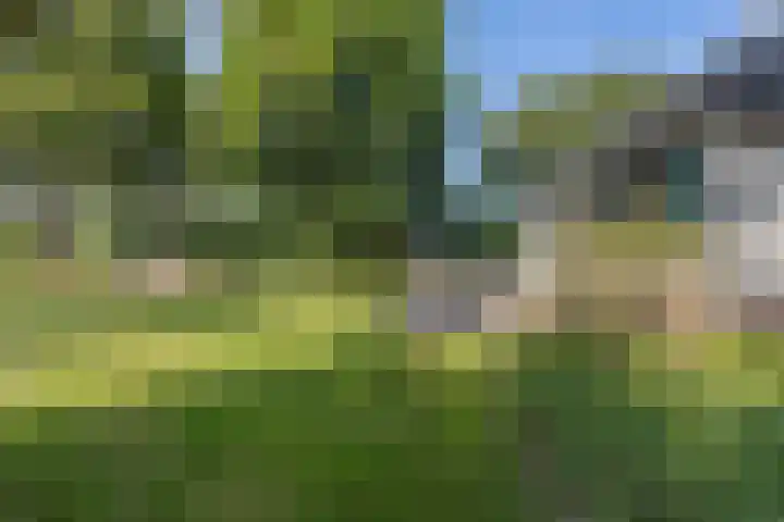 Louwer om'e tún 17 Terherne thumbnail 30