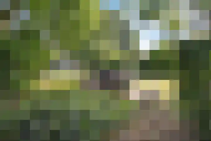 Louwer om'e tún 17 Terherne thumbnail 32