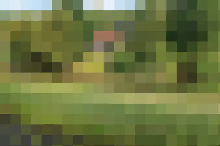 Louwer om'e tún 17 Terherne thumbnail 36