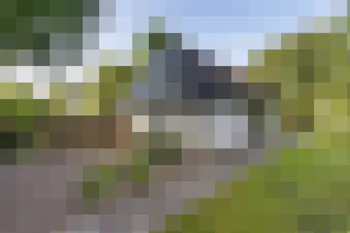 Louwer om'e tún 17 Terherne thumbnail 4