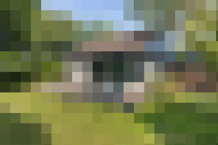 Louwer om'e tún 17 Terherne thumbnail 5