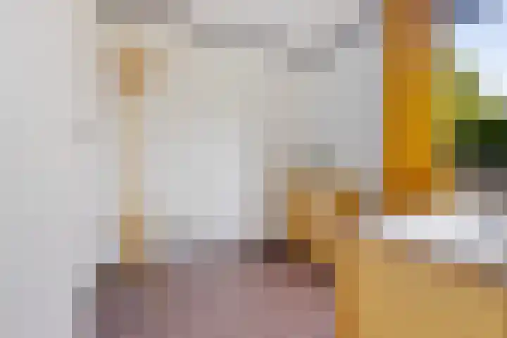 Louwer om'e tún 17 Terherne thumbnail 8