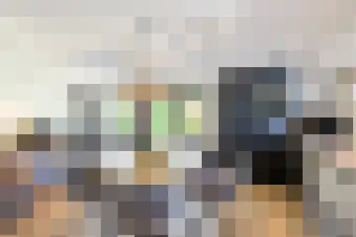 Louwer om'e tún 27 Terherne thumbnail 17
