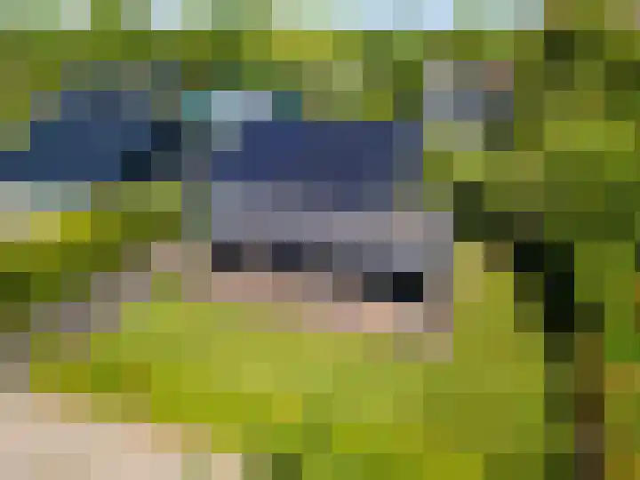 Louwer om'e tún 27 Terherne foto 2