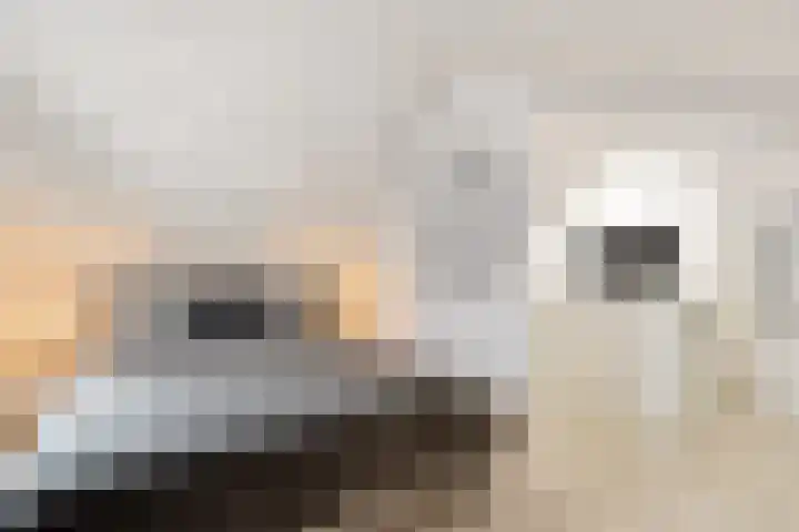 Louwer om'e tún 27 Terherne thumbnail 33