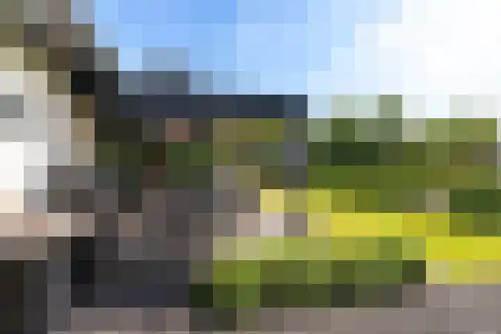 Louwer om'e tún 27 Terherne thumbnail 39
