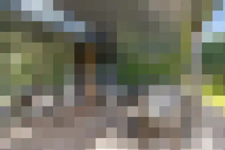 Louwer om'e tún 27 Terherne thumbnail 41