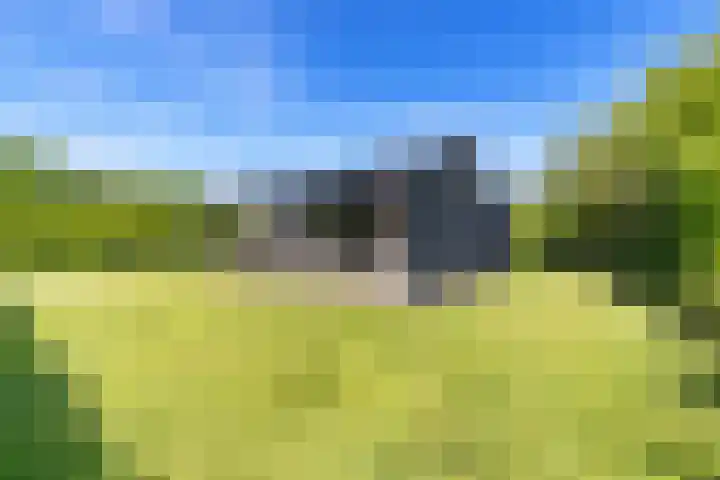 Louwer om'e tún 27 Terherne thumbnail 43