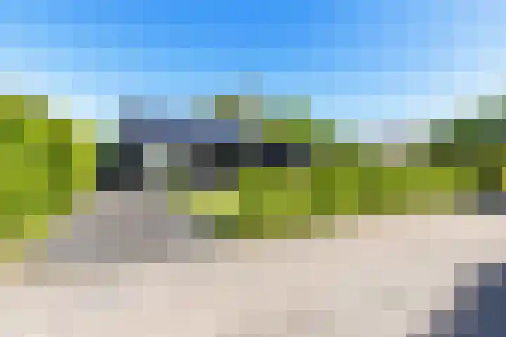 Louwer om'e tún 27 Terherne thumbnail 44