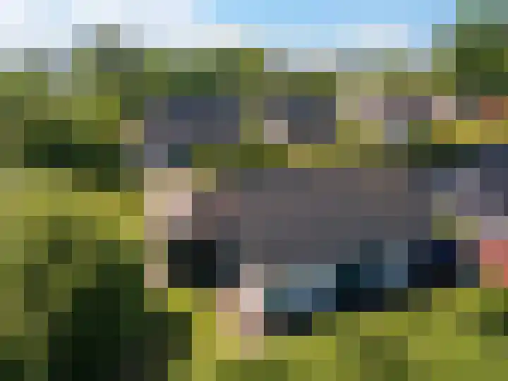 Louwer om'e tún 27 Terherne thumbnail 6