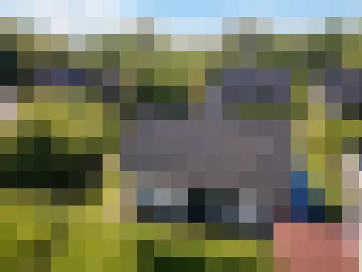 Louwer om'e tún 27 Terherne thumbnail 7