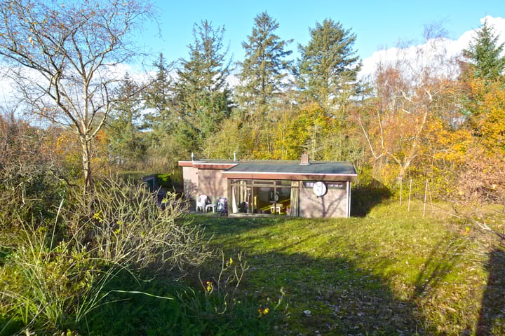 Louwvlakte 8 in Schiermonnikoog foto