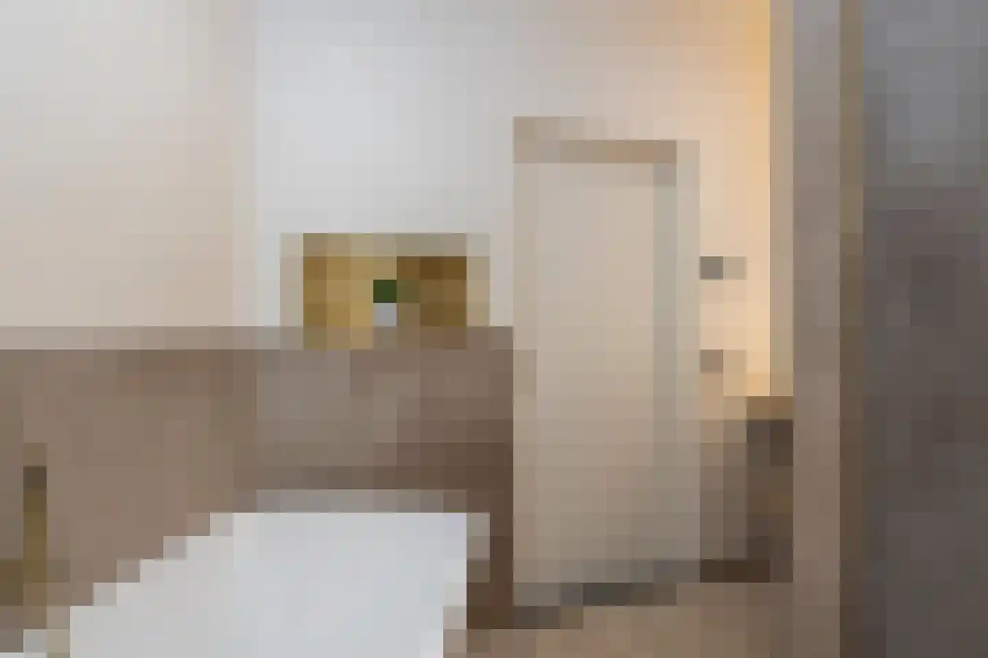 Lovensestraat 54 Tilburg thumbnail 48