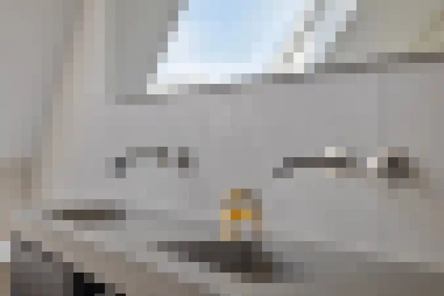 Lover 164 Borne thumbnail 36