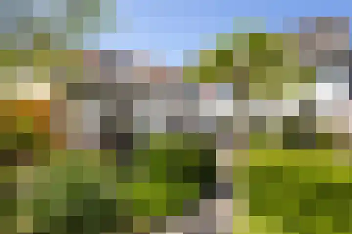 Lover 90 Borne thumbnail 26