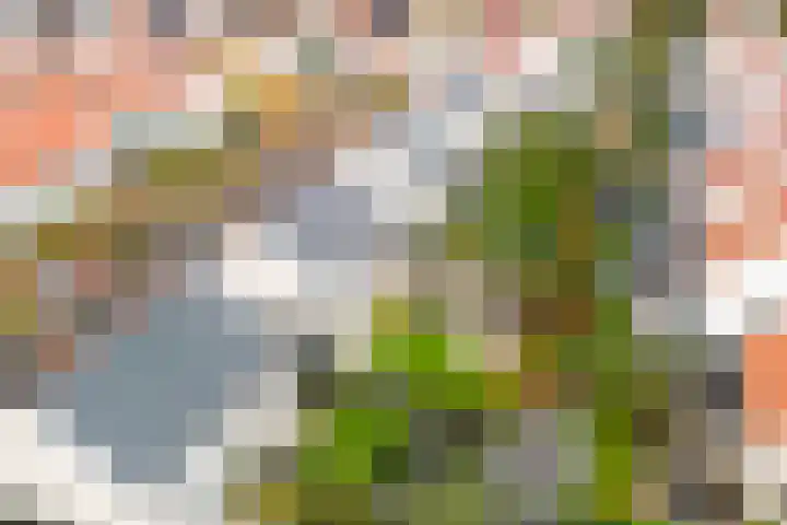 Lover 90 Borne thumbnail 29