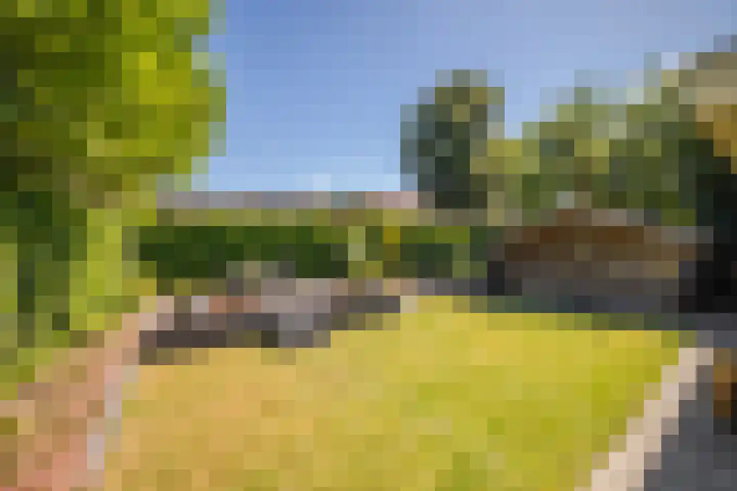 Lovinklaan 6 Arnhem thumbnail 4