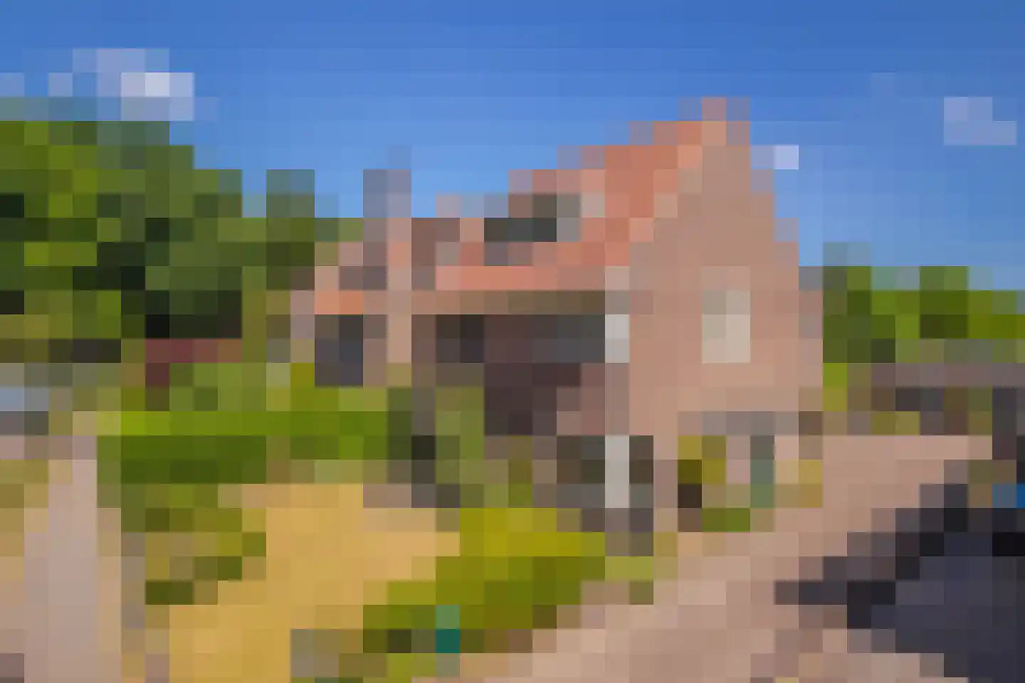 Lovinklaan 6 Arnhem thumbnail 5