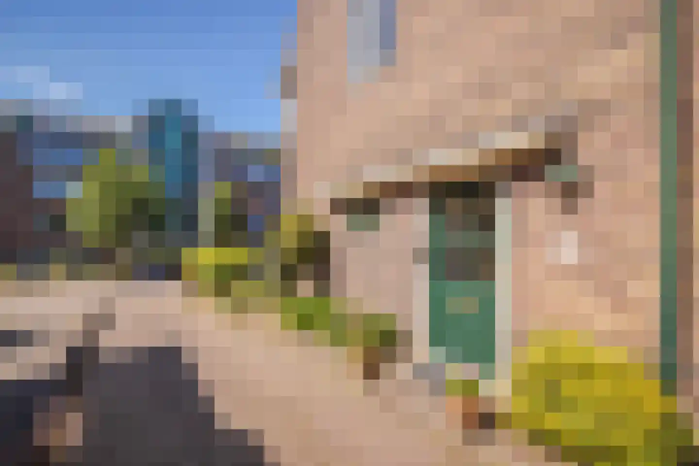 Lovinklaan 6 Arnhem thumbnail 7