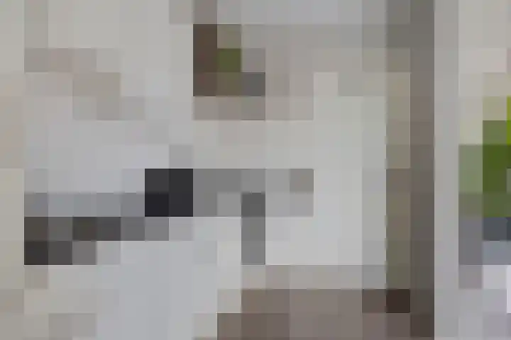 Lovinkstraat 5 Kampen thumbnail 12