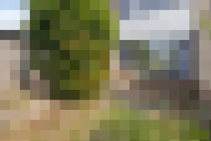 Lovinkstraat 5 Kampen thumbnail 30