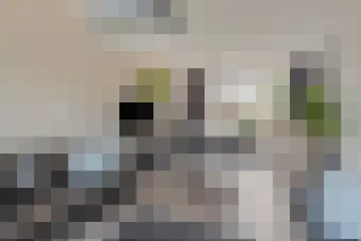 Lovinkstraat 5 Kampen thumbnail 5