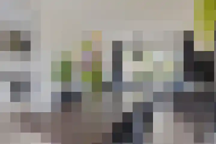 Lovinkstraat 5 Kampen thumbnail 8