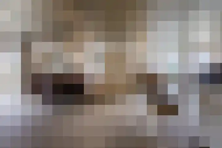 Lowerik 12 Esbeek thumbnail 10