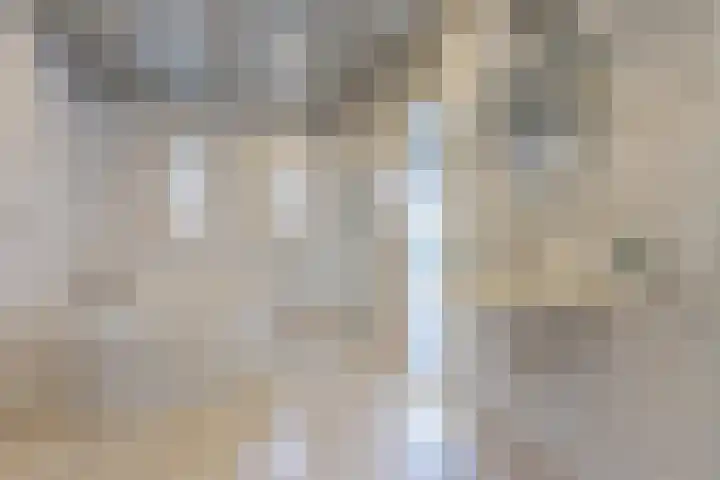 Lowerik 12 Esbeek thumbnail 16