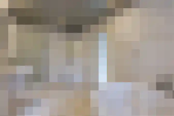Lowerik 12 Esbeek thumbnail 17