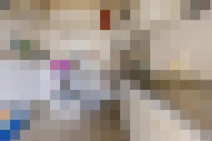 Lowerik 12 Esbeek thumbnail 18