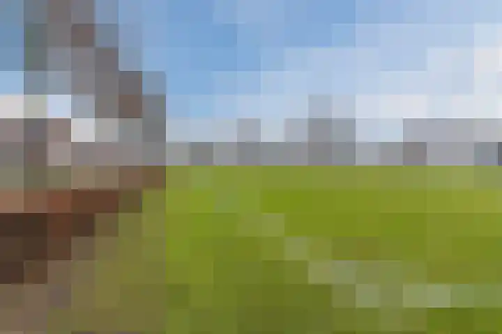 Lowerik 12 Esbeek thumbnail 25