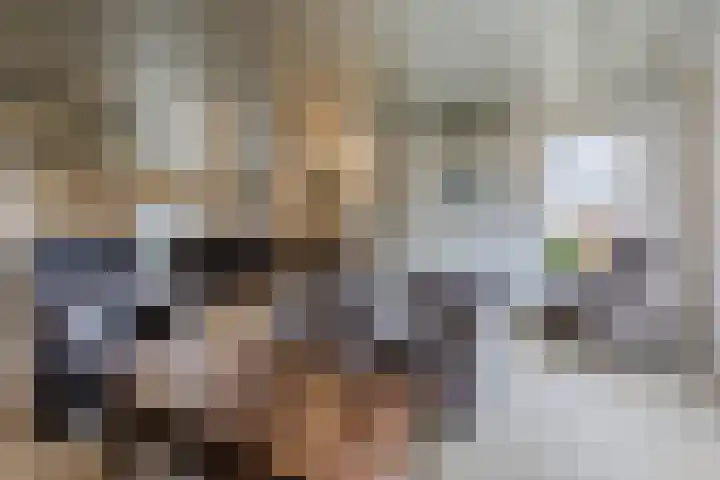 Lowerik 12 Esbeek thumbnail 4
