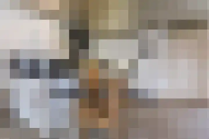 Lowerik 12 Esbeek thumbnail 6