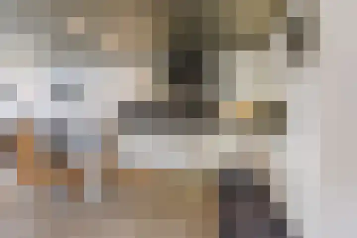 Lowerik 12 Esbeek thumbnail 7