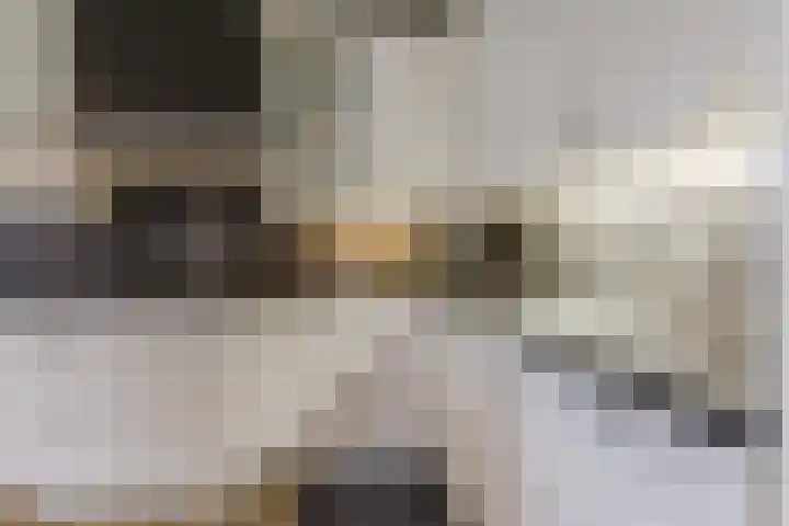 Lowerik 12 Esbeek thumbnail 8