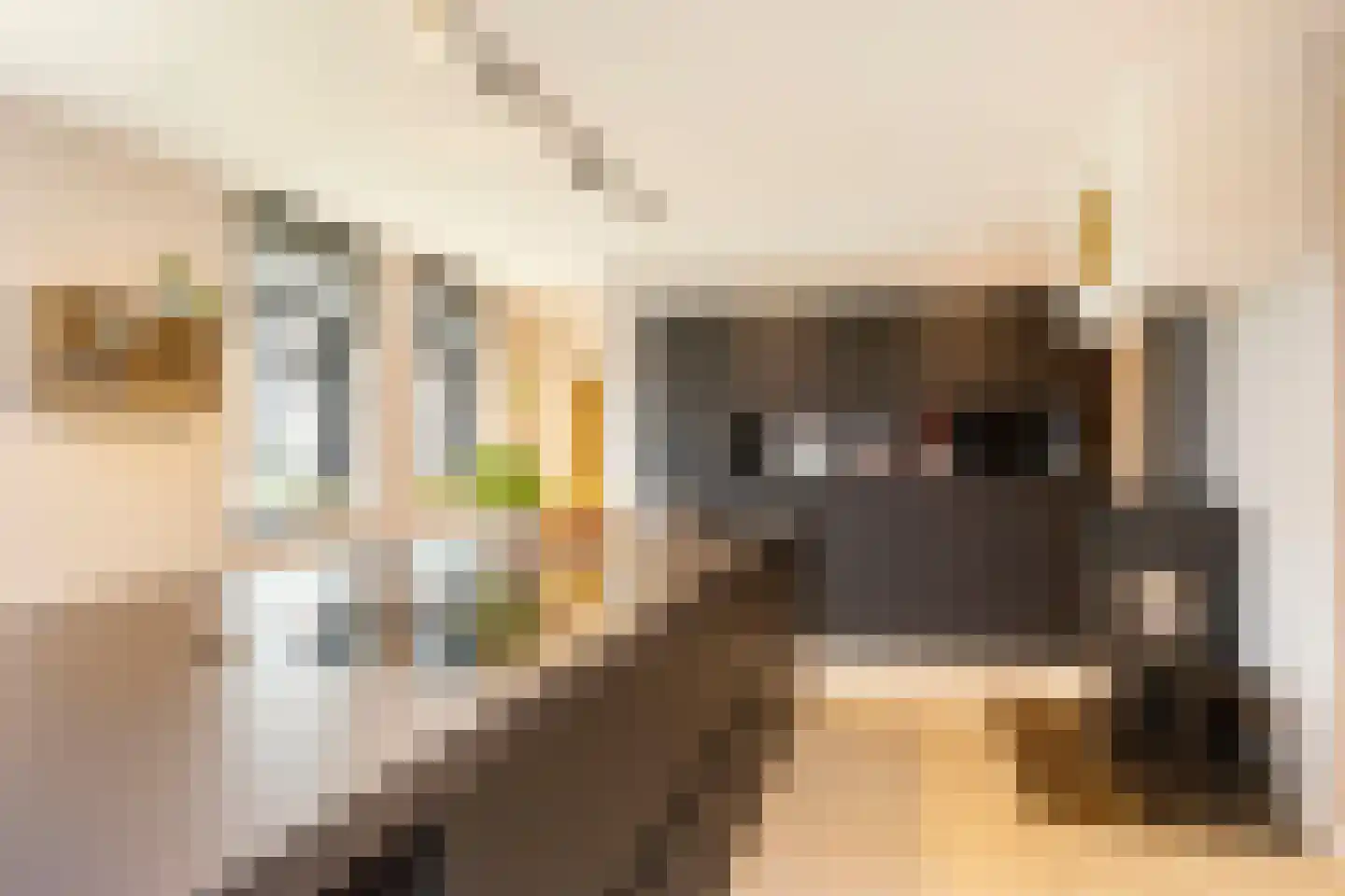 Lubberdinksweg 15 Denekamp thumbnail 19