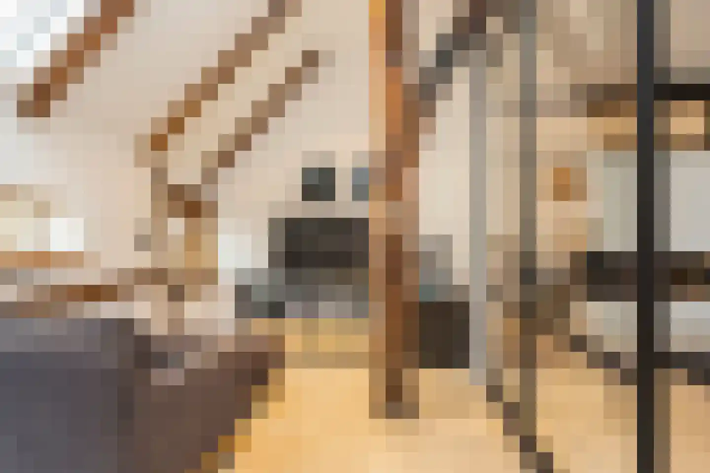 Lubberdinksweg 15 Denekamp thumbnail 21
