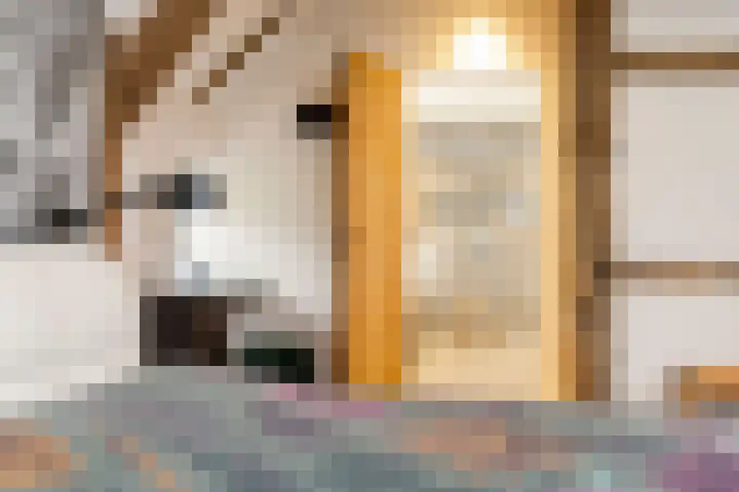 Lubberdinksweg 15 Denekamp thumbnail 23