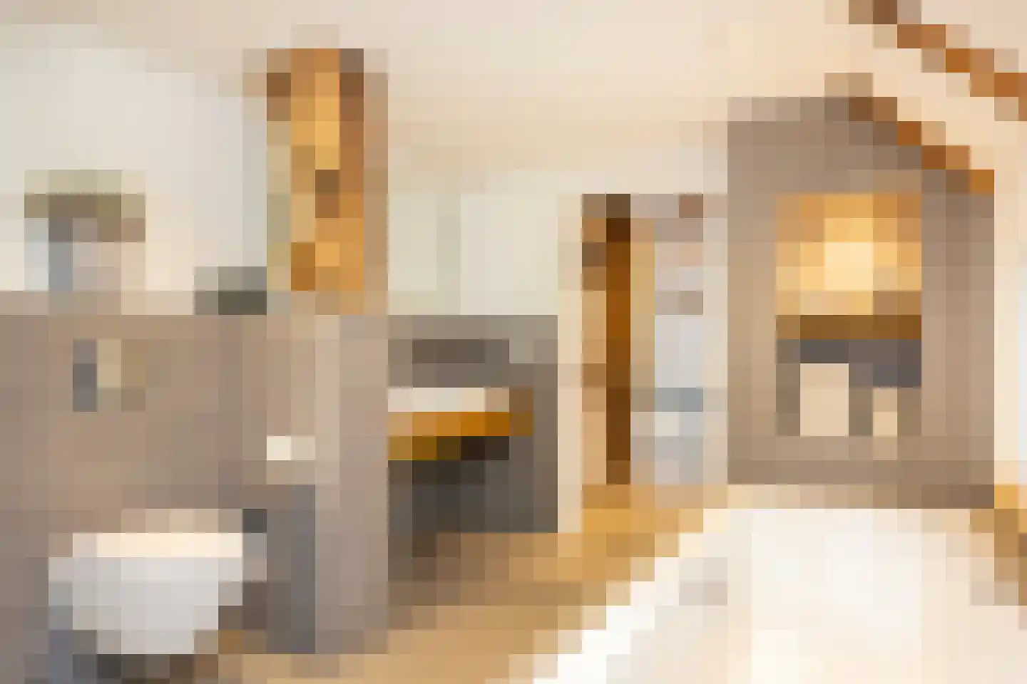 Lubberdinksweg 15 Denekamp thumbnail 25